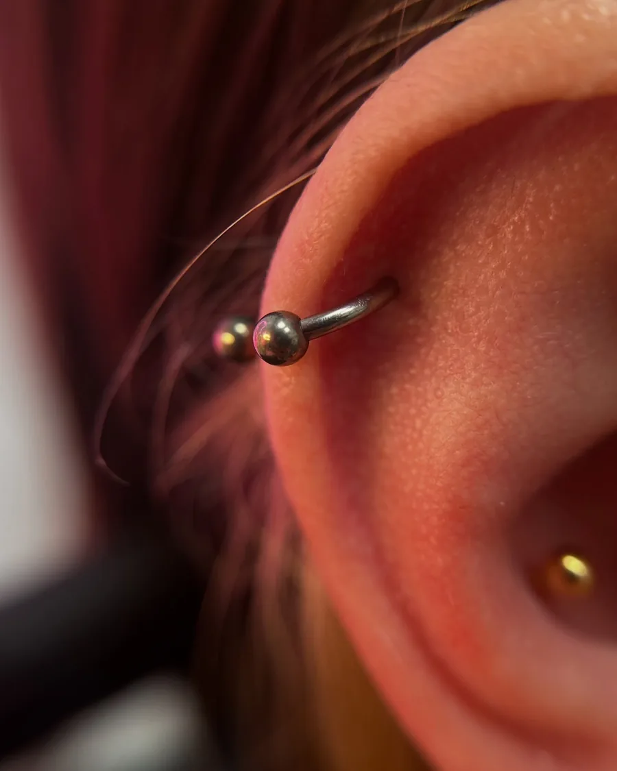 Tragus