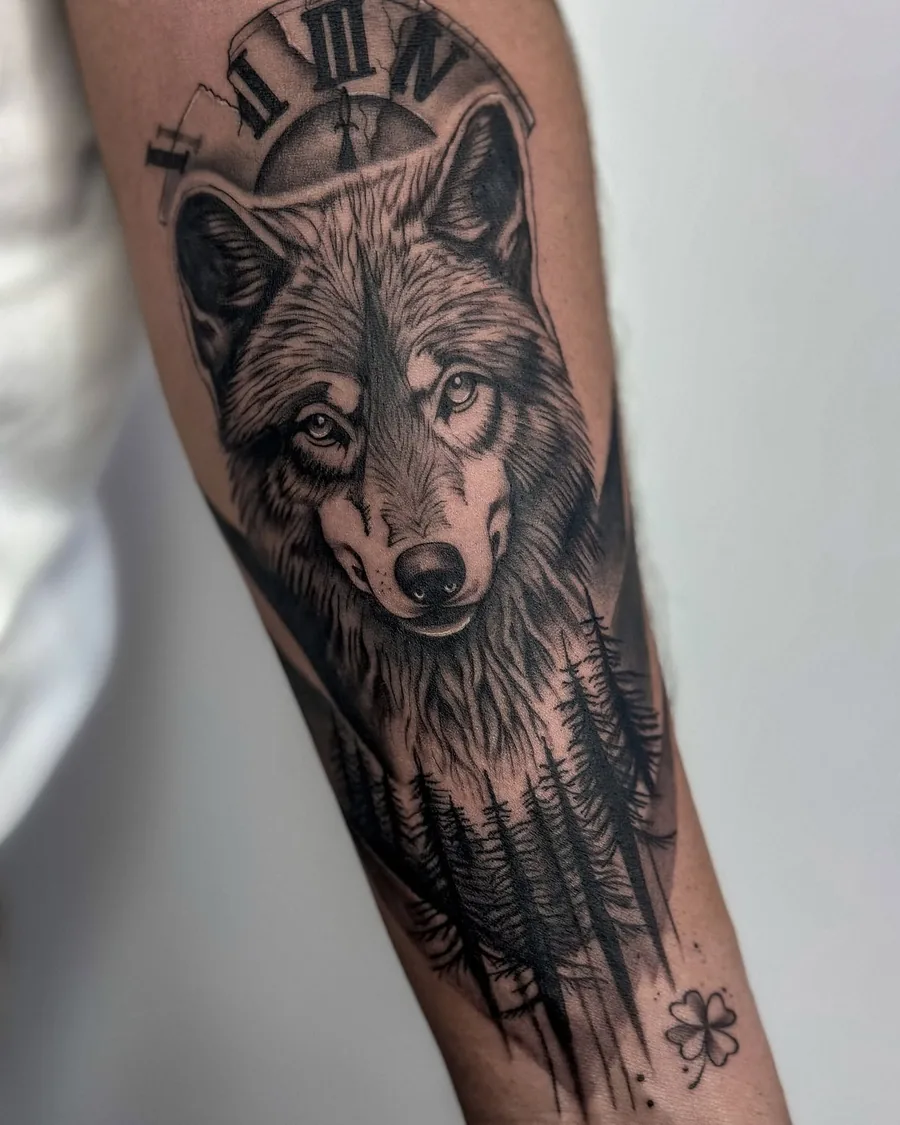Lobo, antebraço