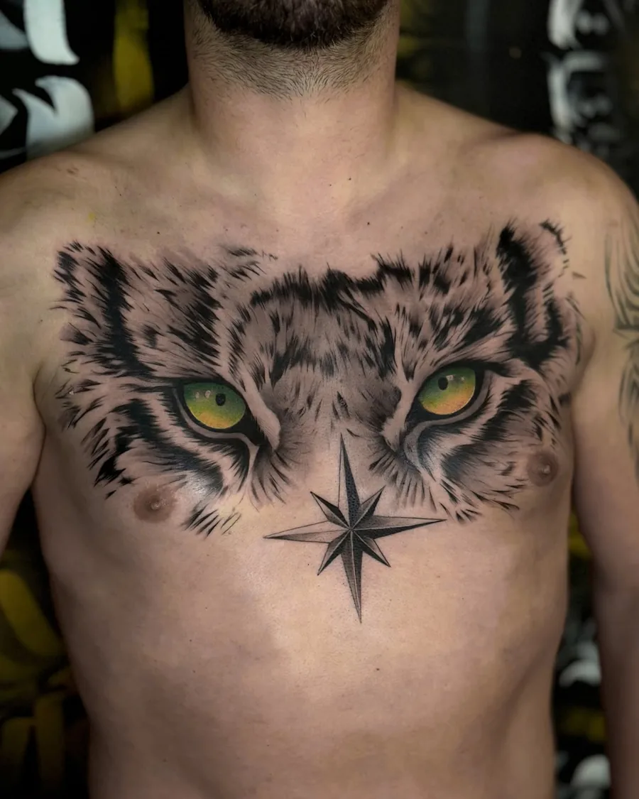 Tigre, peito